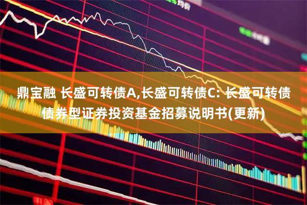 鼎宝融 长盛可转债A,长盛可转债C: 长盛可转债债券型证券投资基金招募说明书(更新)