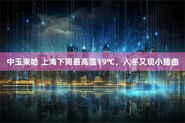 中玉束哈 上海下周最高温19℃，入冬又现小插曲